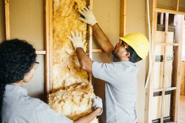 Best Attic Insulation Installation  in Abbotsford, WI